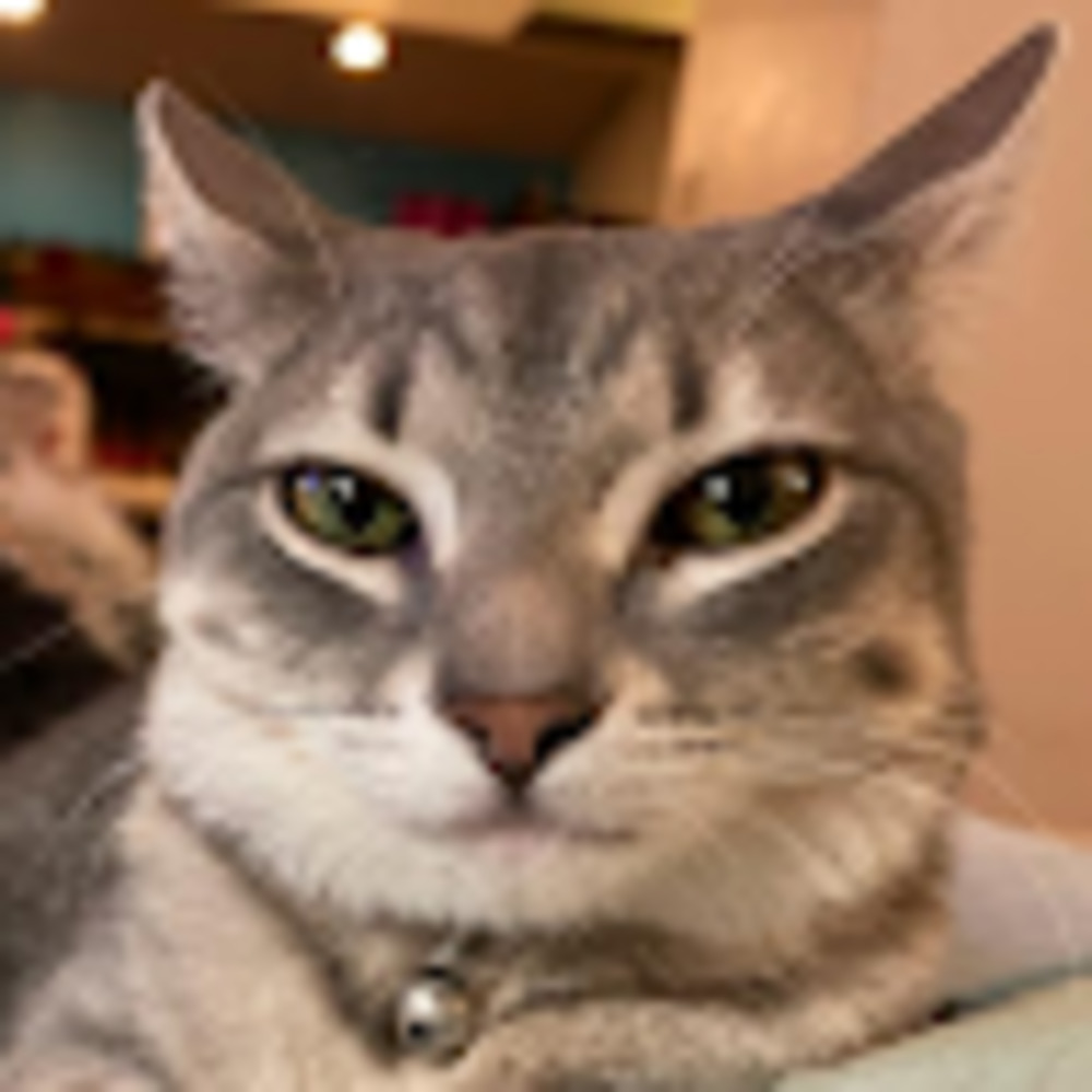 Meet your Posher, Thomas